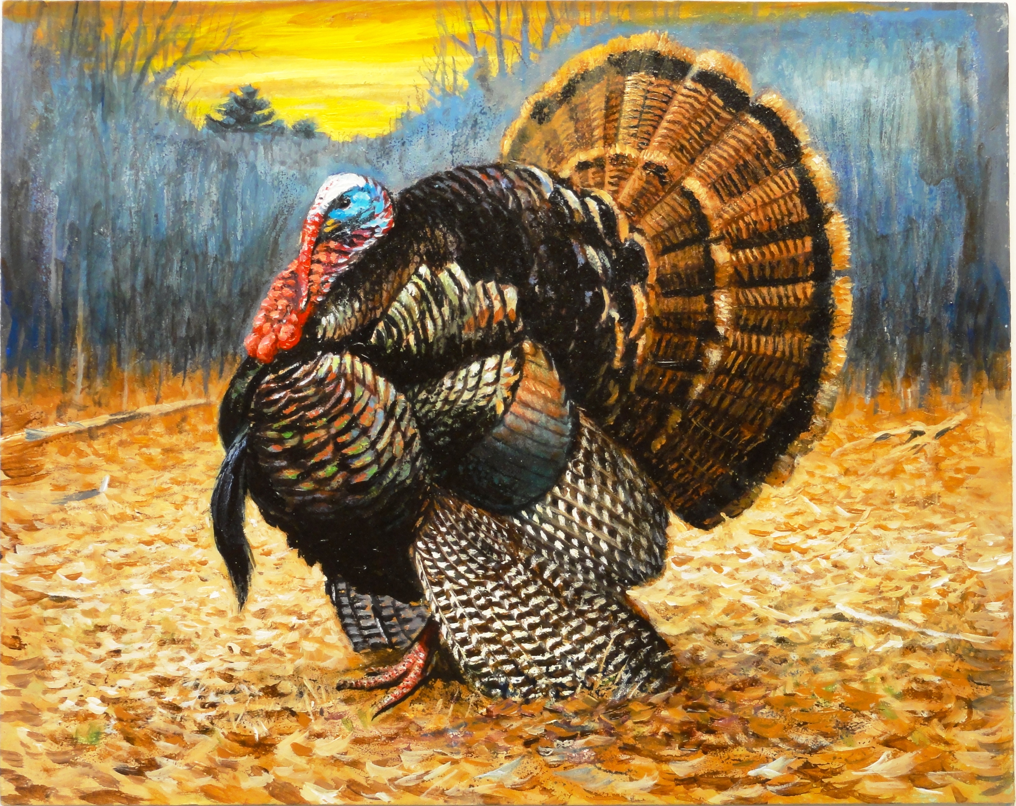 Instead of Fake Pardoning a Turkey This Year...