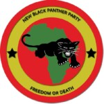 New-Black-Panthers-Logo
